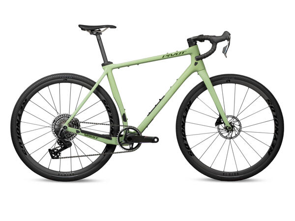 Pivot Vault_barva Mossy Forest